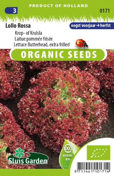 Lettuce Lollo Rossa BIO (Lactuca) 750 seeds SL